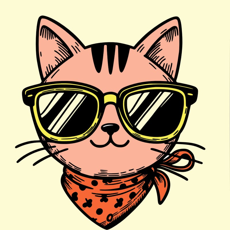 cat in sunglasses