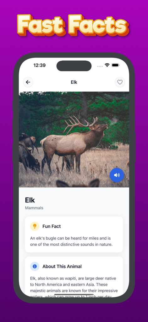 Animal Sounds & Bird Noises - Educational app interface showing a photo and fun facts about an elk