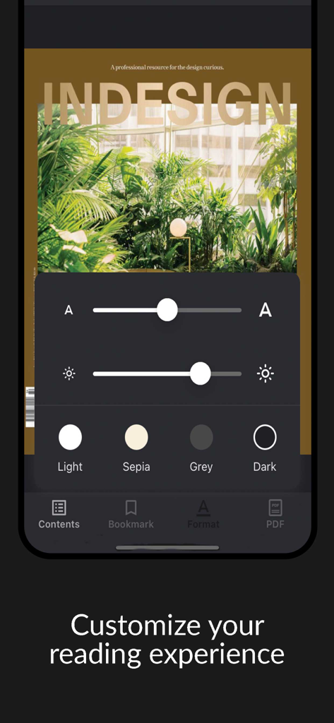 INDESIGN - Indesign app interface for customizing reading settings like text size brightness and background themes
