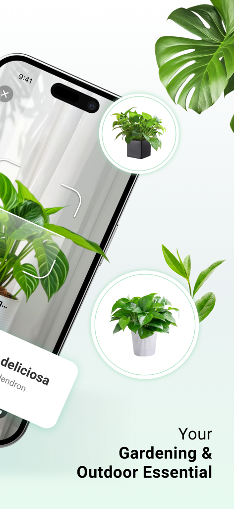 Un téléphone mobile utilisant l'application PlantDaily pour identifier une plante Monstera avec le texte Votre essentiel pour le jardinage et l'extérieur.