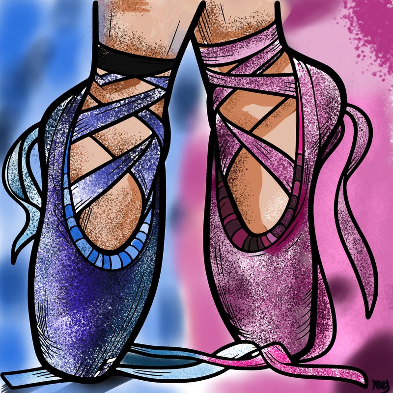 ballet shoes