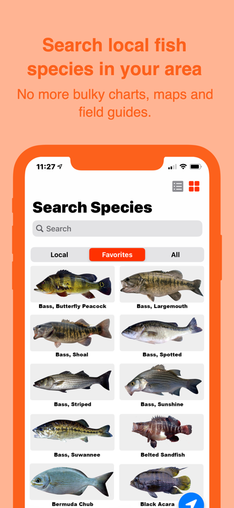 FishVerify: ID & Regulations - 様々な魚種の写真と名前が表示された検索結果ページを表示するモバイルアプリの画面