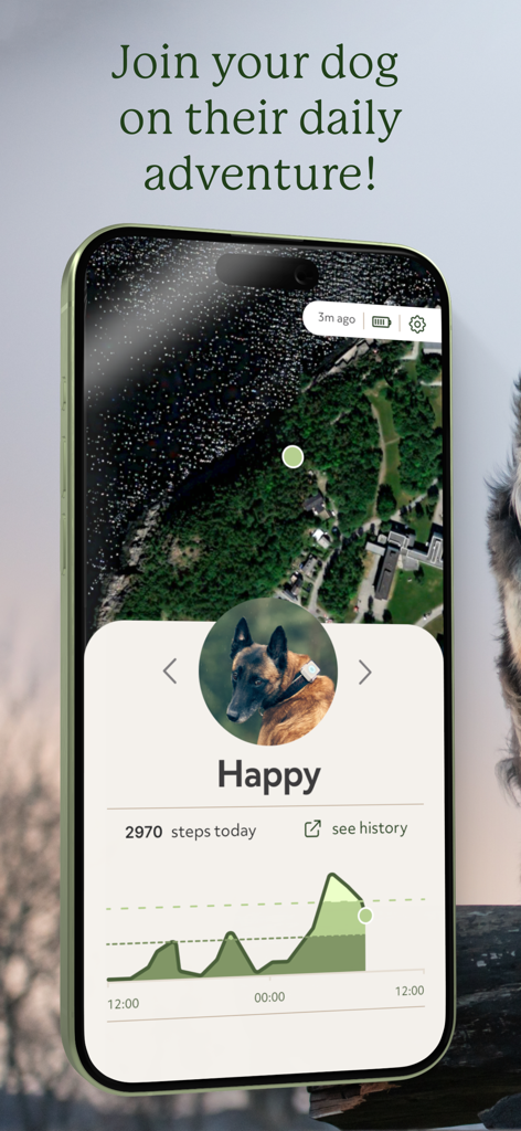 Lildog - Lildog mobile app screen displaying a dog's real-time GPS location on a satellite map and a daily step count activity graph.
