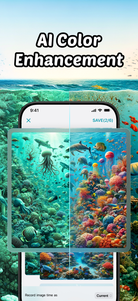 Vorher-Nachher-Vergleich, der die KI-Unterwasserfoto-Farbkorrektur in der DIVEROUT-App zeigt