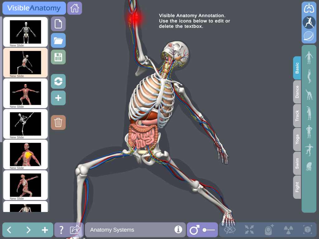 Visible Anatomy - A 3D anatomical model displaying the human skeleton and nervous system in a dynamic yoga pose within the app interface