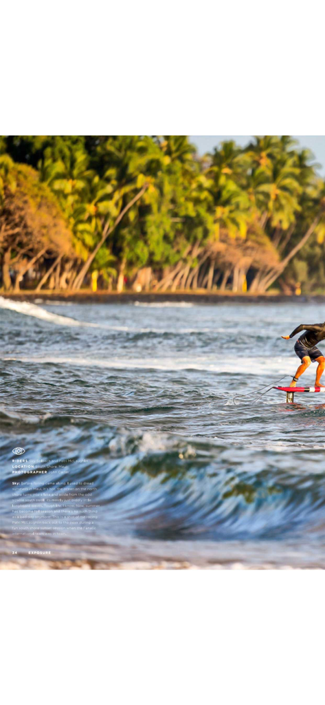 Foiling Magazine - Ein Surfer beim Hydrofoiling auf einer Meereswelle mit tropischen Palmen im Hintergrund.