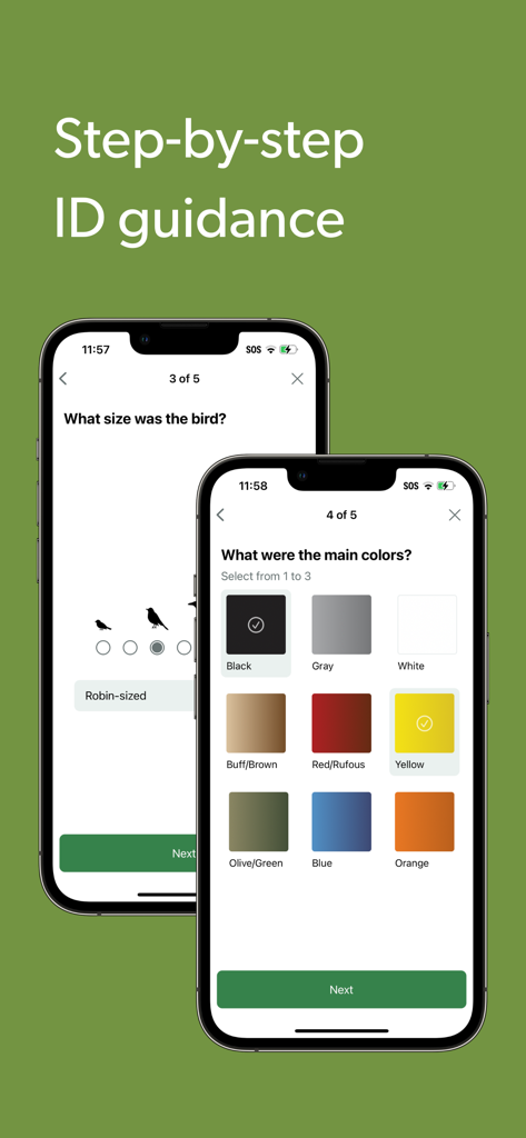 Merlin Bird ID by Cornell Lab - Merlin Bird IDアプリのスマートフォンスクリーン2つ、鳥のサイズと主な色を選択して鳥を識別するためのインターフェースを表示