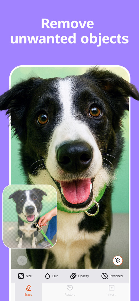 Una pantalla de aplicación móvil que muestra la función de eliminación de objetos donde se editan una mano y una correa de una foto de primer plano de un perro