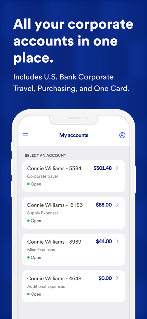 Mobile app screen showing multiple corporate bank account balances for travel and supply expenses