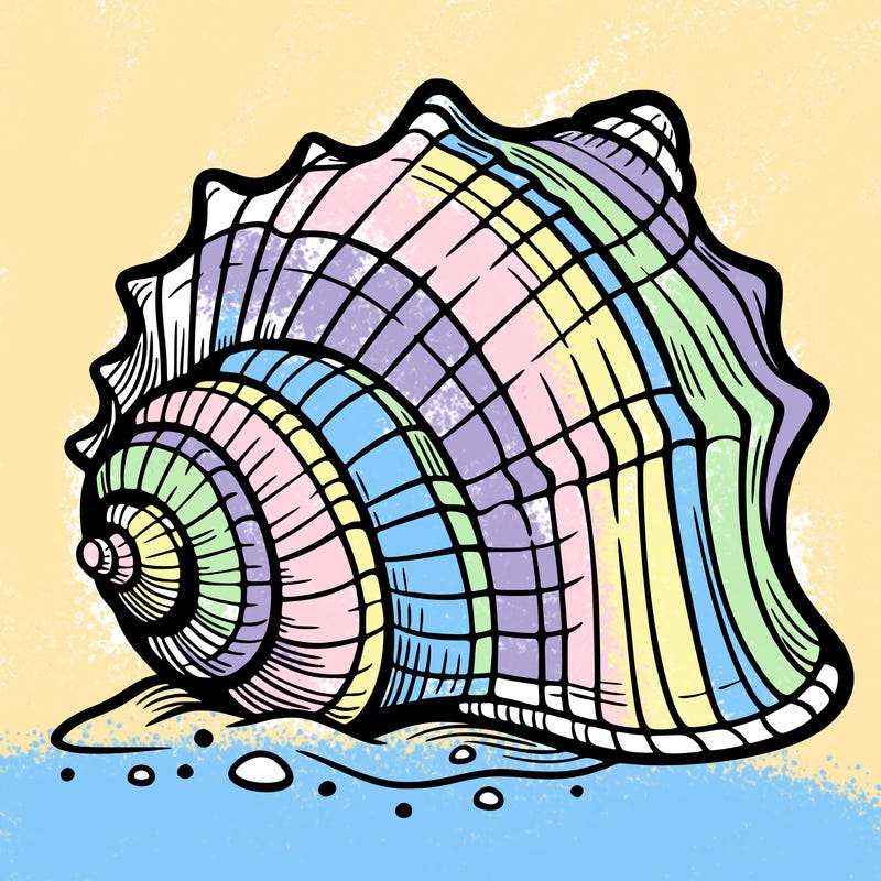 sea shell