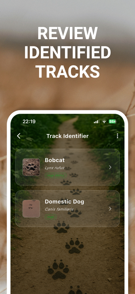 Animal Track Identifier - Screenshot of the Animal Track Identifier app showing a history log of identified animal tracks including a bobcat and a domestic dog