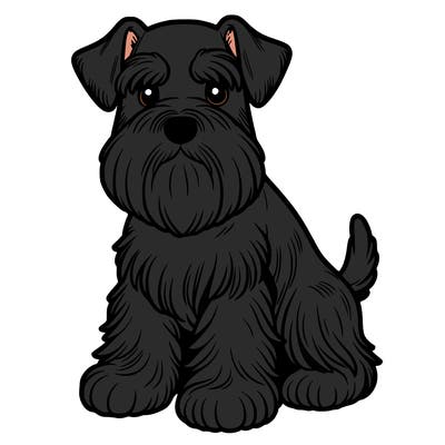 miniature schnauzer