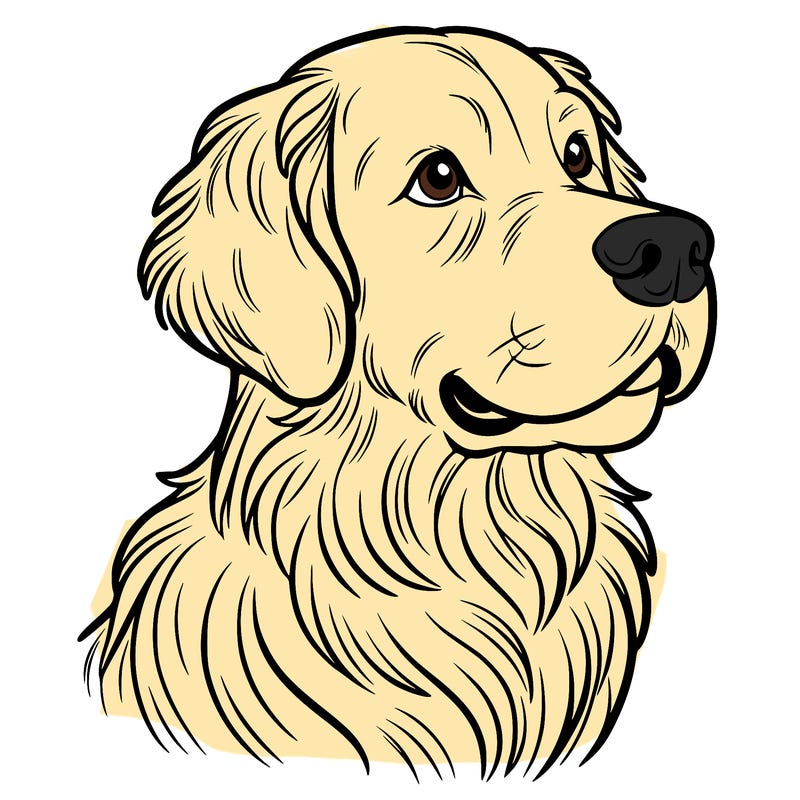 golden retriever