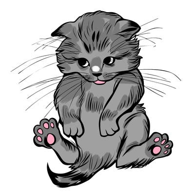 animals_20