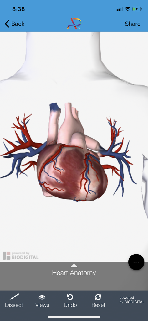 AR Educate - 3D augmented reality heart anatomy model in the AR Educate app