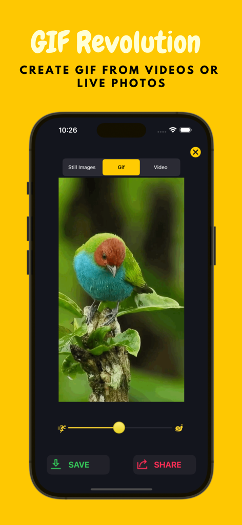 Live Photo Convert - Interfaz de la aplicación Live Photo Convert que muestra la creación de GIFs a partir de un vídeo de un pájaro con opciones de ajuste de velocidad.