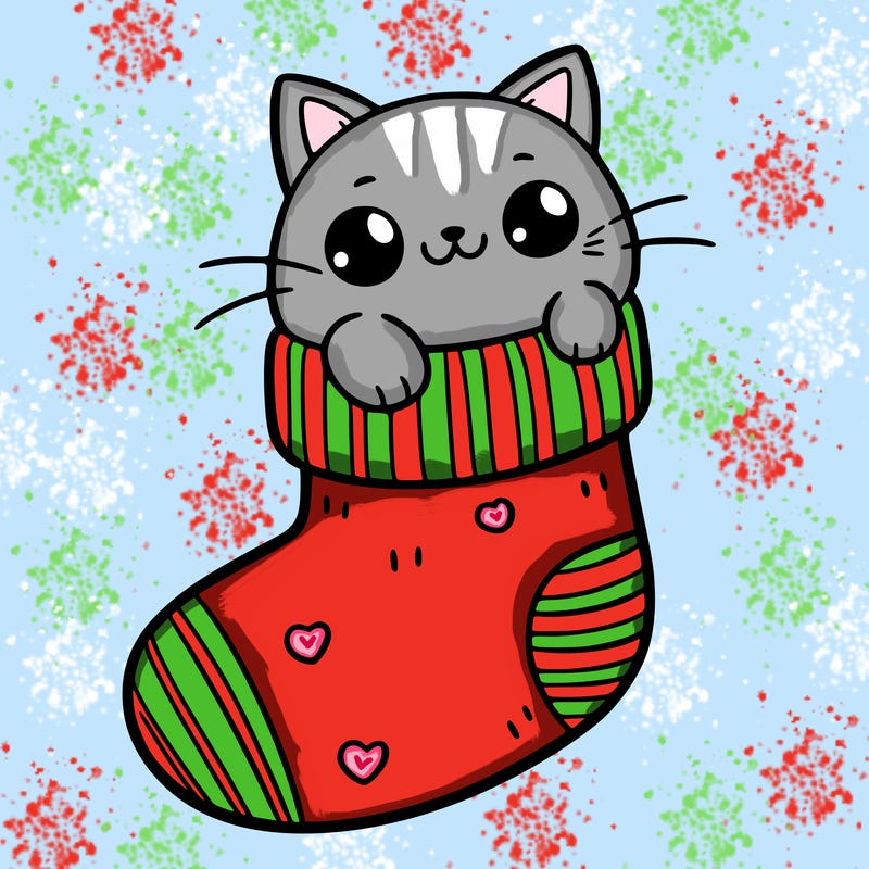 cute cat in a sock