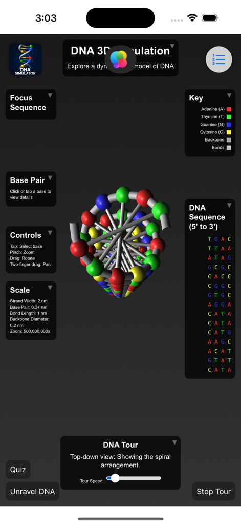 Una vista 3D de arriba hacia abajo de un modelo de doble hélice de ADN dentro de la interfaz de la aplicación Simulador de ADN que muestra secuencias de bases y controles interactivos