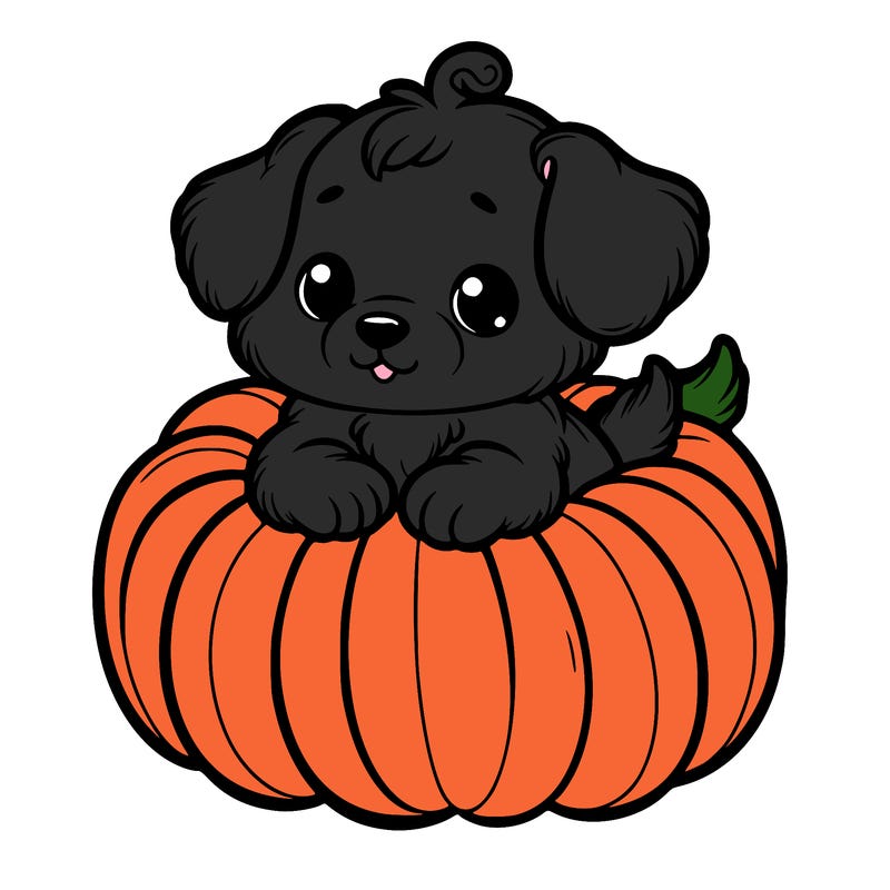 cute little puppy in a pumpkin