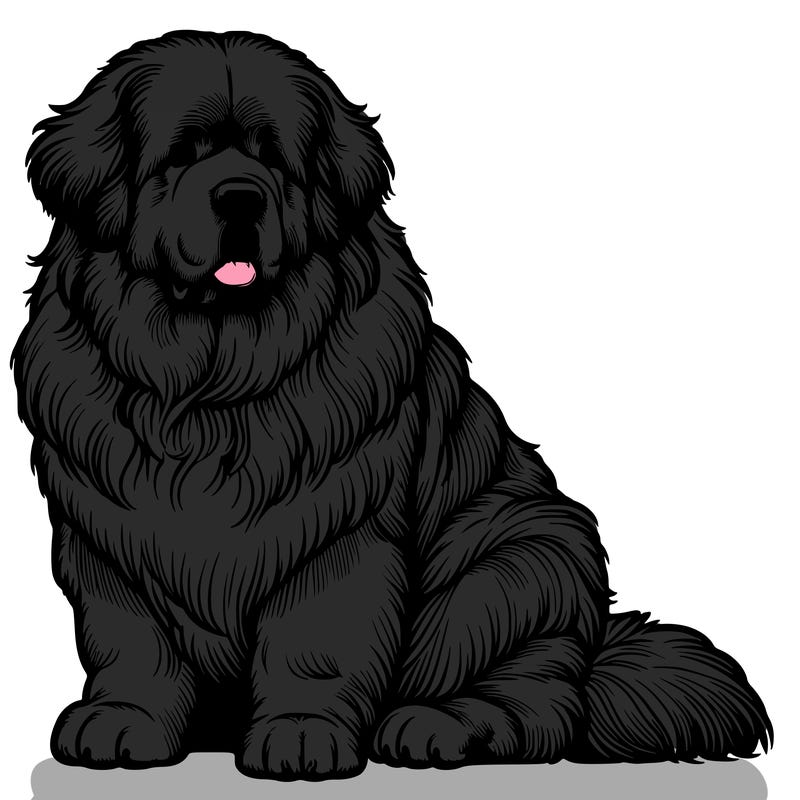 realistic newfoundland dog