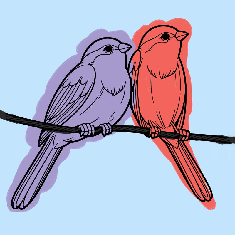 two realistic birds on a wire