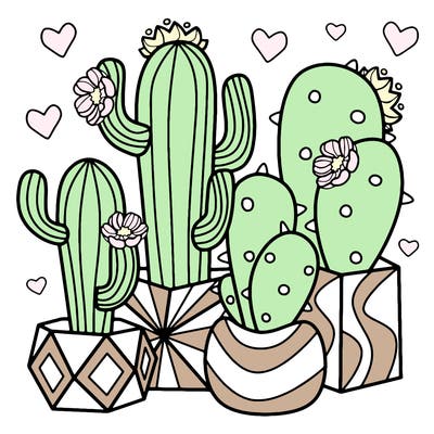 flowers_24_new