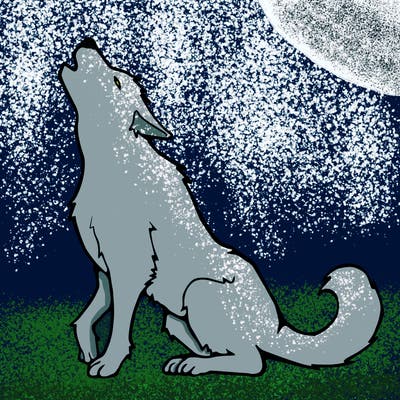 animals_36