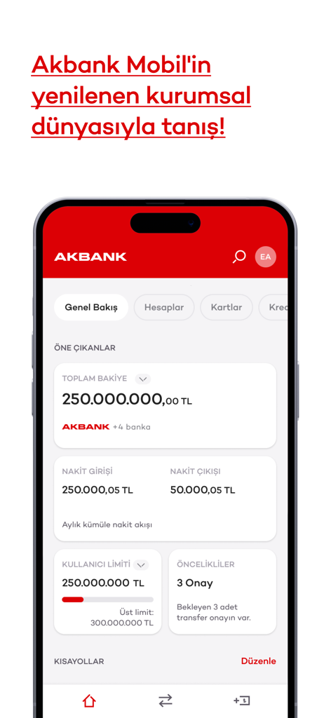 잔액 개요 및 현금 흐름 데이터가 포함된 Akbank 모바일 기업 뱅킹 인터페이스를 보여주는 스마트폰 화면