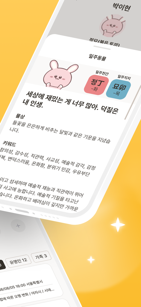 Forceteller app interface displaying a personal Saju destiny profile with a rabbit character and personality keywords in Korean