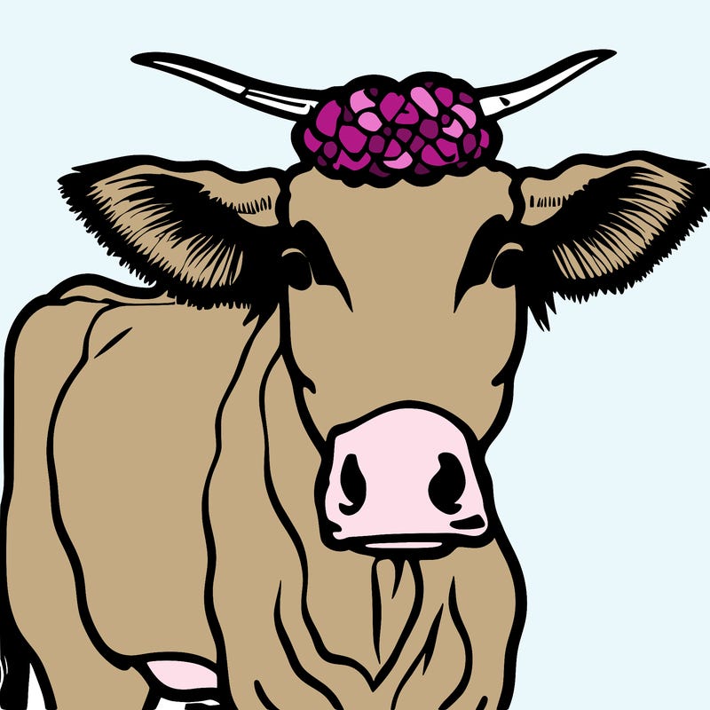 cow