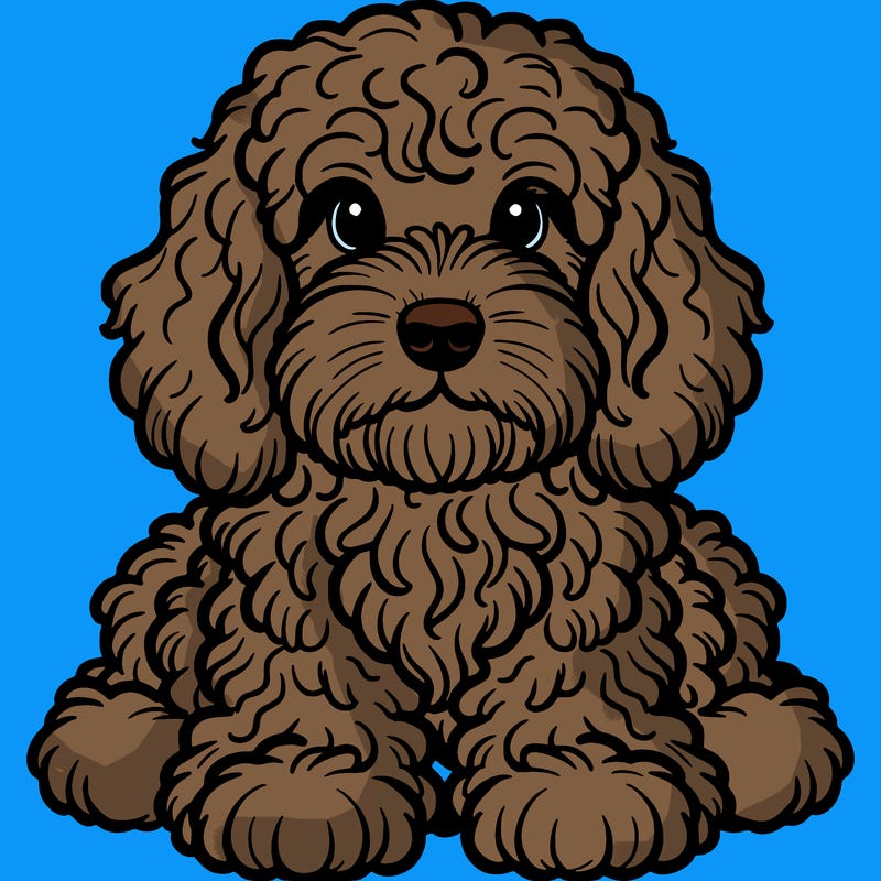 cockapoo spaniel