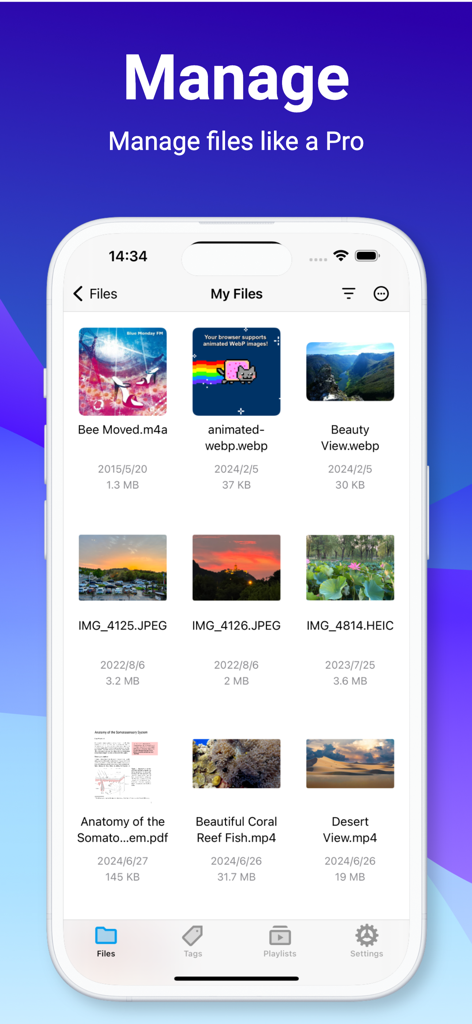 Interface do aplicativo File Hub mostrando uma lista de vários tipos de arquivos como imagens, vídeos e documentos