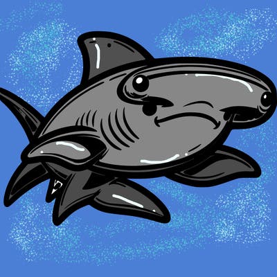 hammerhead shark
