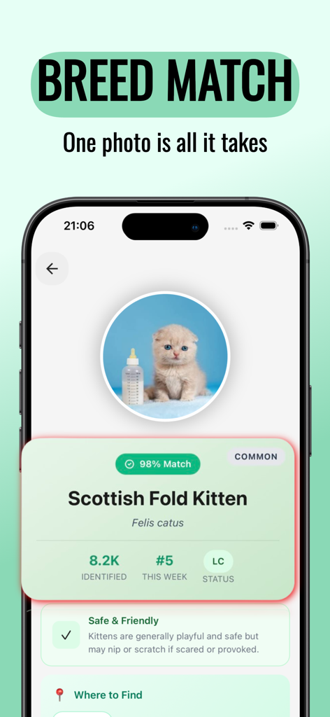 Animal Sound Identifier: Guide - Smartphone screen of Animal Sound Identifier app showing breed identification results for a Scottish Fold kitten