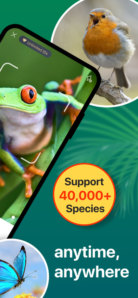 Picture Nature: Animal ID - Picture Nature app interface identifying a frog with images of a bird and butterfly