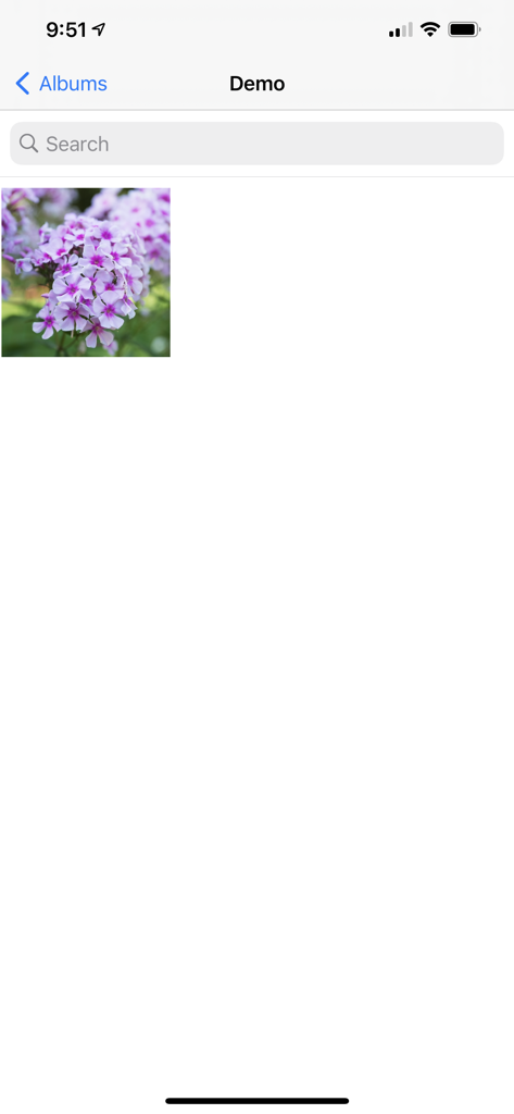 Photo Albums and Widget - App interface displaying a photo album named Demo with a search bar and a photo of flowers