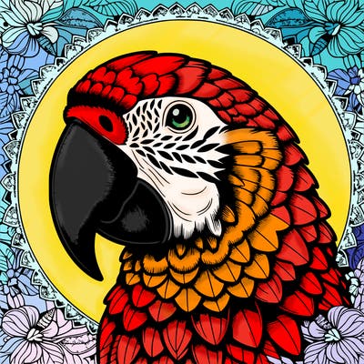 realistic parrot mandala