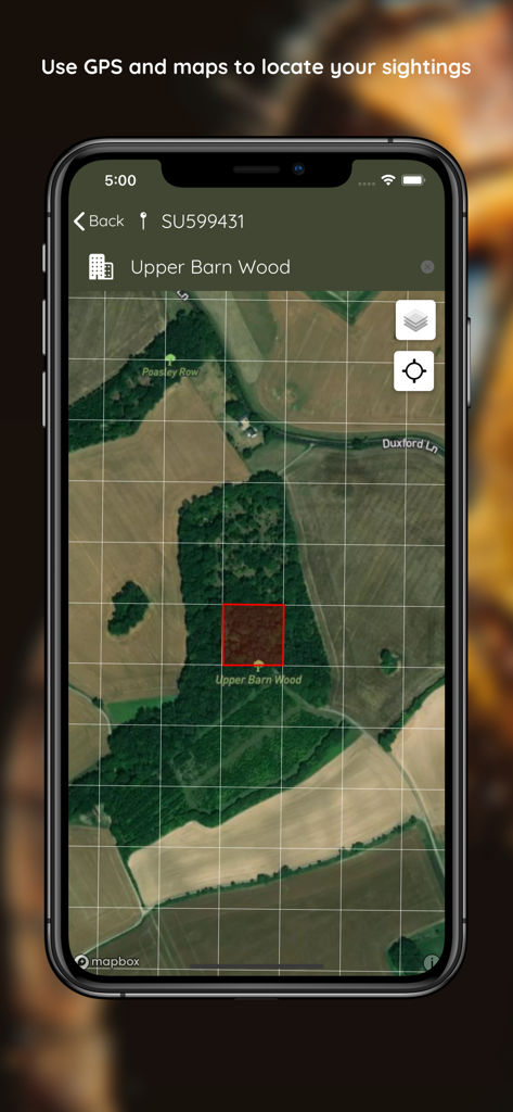 Asian Hornet Watch - Asian Hornet Watch app map interface with a grid overlay for precise GPS location of insect sightings
