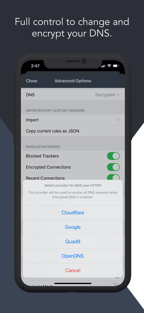 Disconnect Premium VPN - Disconnect Premium VPN app interface showing advanced DNS encryption settings and provider selection