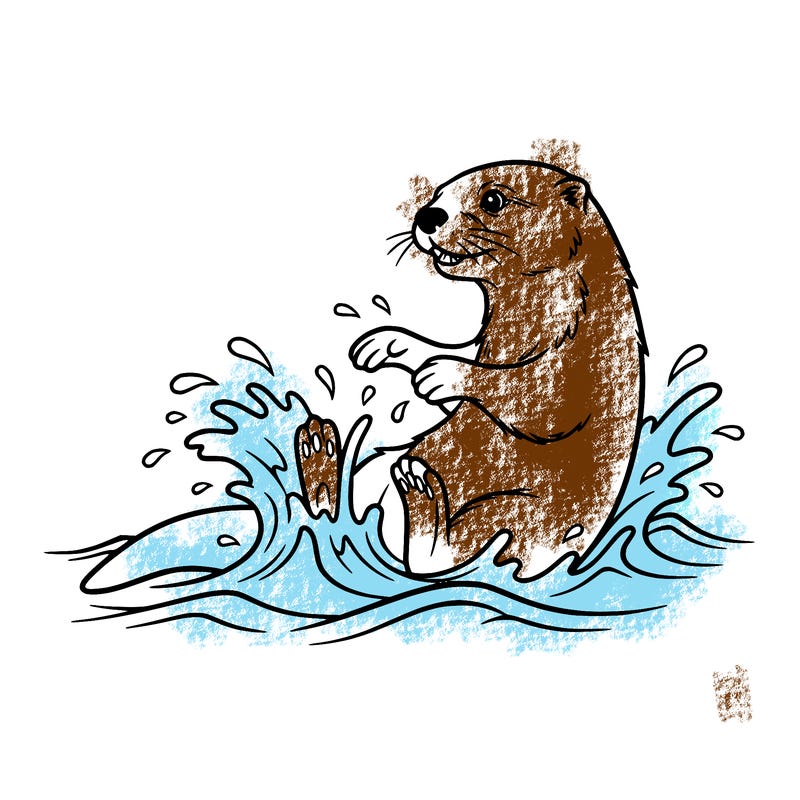 otter in the water playing