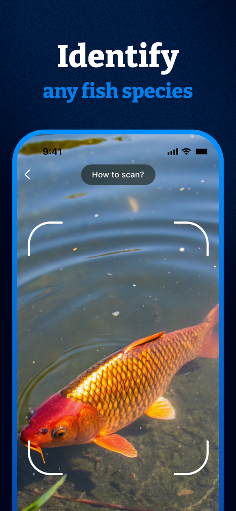 Fish Identifier & Scanner App - A mobile app interface identifying a golden fish species using AI scanner technology