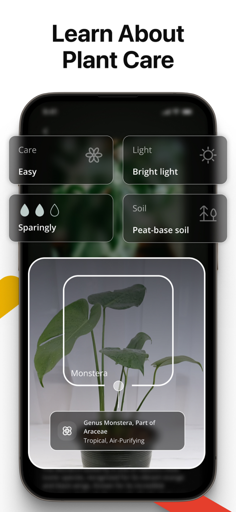 Smartphone screen showing Lens AI app identifying a Monstera plant and displaying care instructions for light water and soil