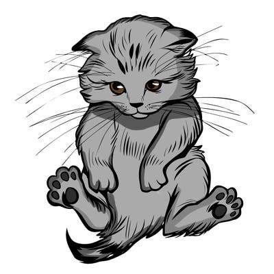 animals_20