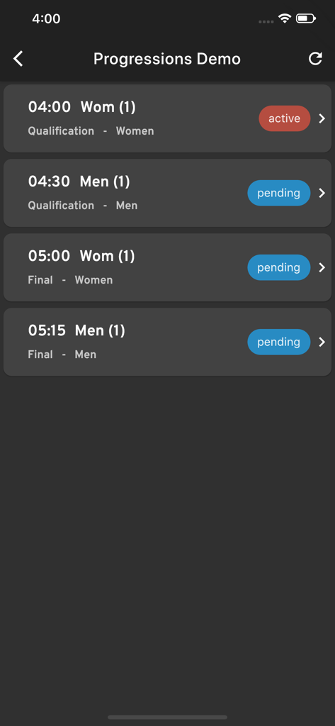 RaceGorilla Pro - Écran RaceGorilla Pro montrant les séries de courses programmées et l'état du chronométrage.