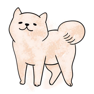 animals_29