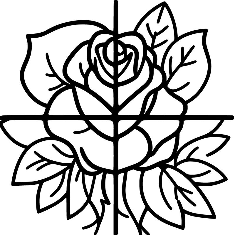split in four rose
