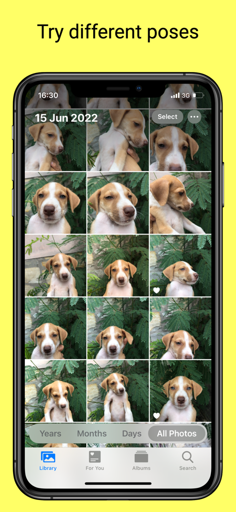 Selfier -Take handsfree photos - A smartphone screen displaying the Selfier app photo library with multiple shots of a puppy in different poses.