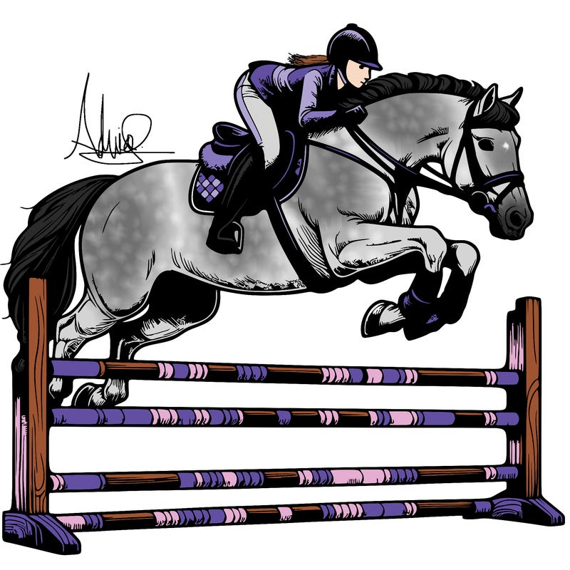 realistic horse show jumping