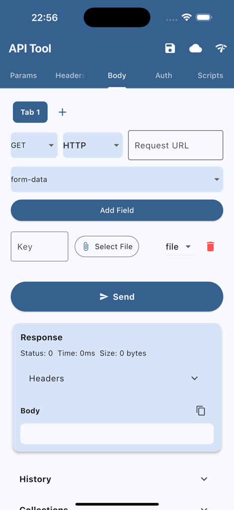 API Tool Pro interface showing the request body tab with options for form data and file selection