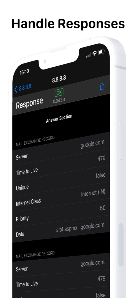 DNS Client - L'app DNS Client che mostra una risposta di record di scambio posta leggibile dall'uomo su un iPhone.